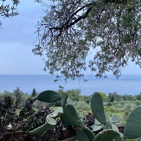 דירה Olives Terrace B2a5 *