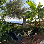 Olives Terrace B2a5 * Dhërmi