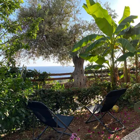 Olives Terrace B2a5 * Dhërmi