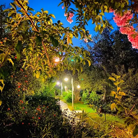 Olives Terrace B2a5 Apartmán Dhërmi