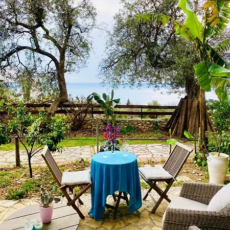Olives Terrace B2a5 Apartment