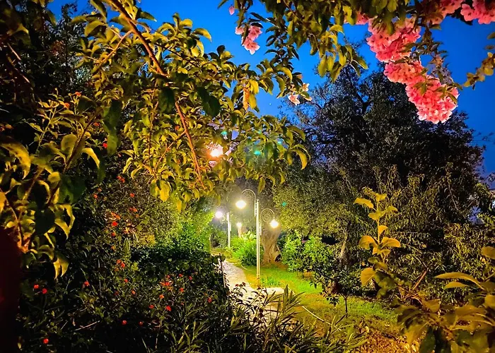 Olives Terrace B2a5 Daire Dhërmi