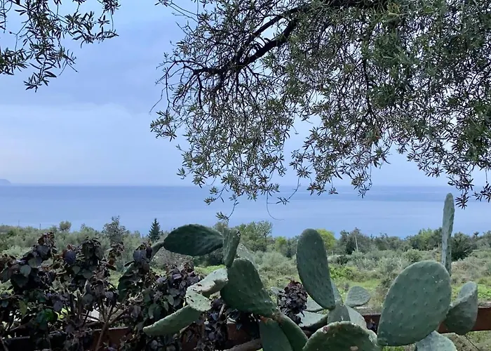 Daire Olives Terrace B2a5 *